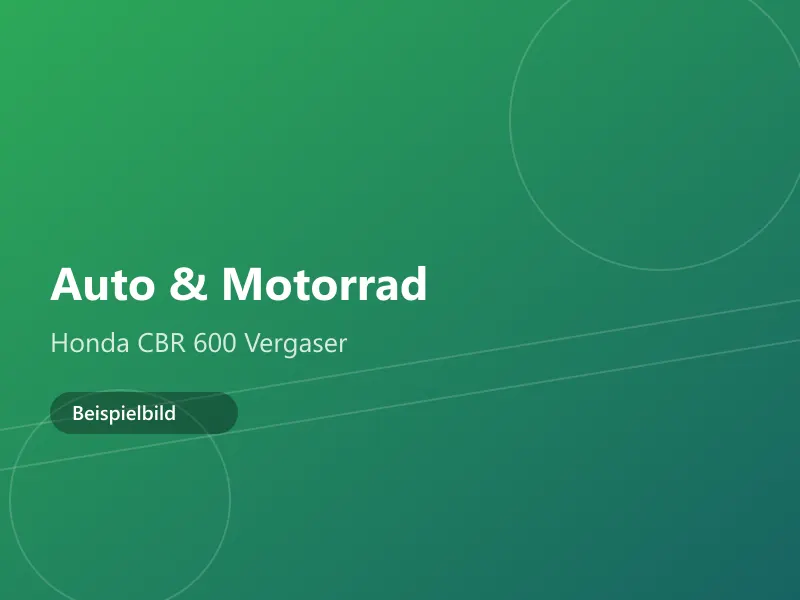 Honda CBR 600 Vergaser – Lagerschaden